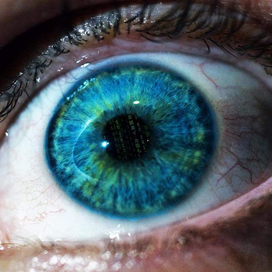 Iris Photograph - Eyes Are Really Cool by Logan Wilcox