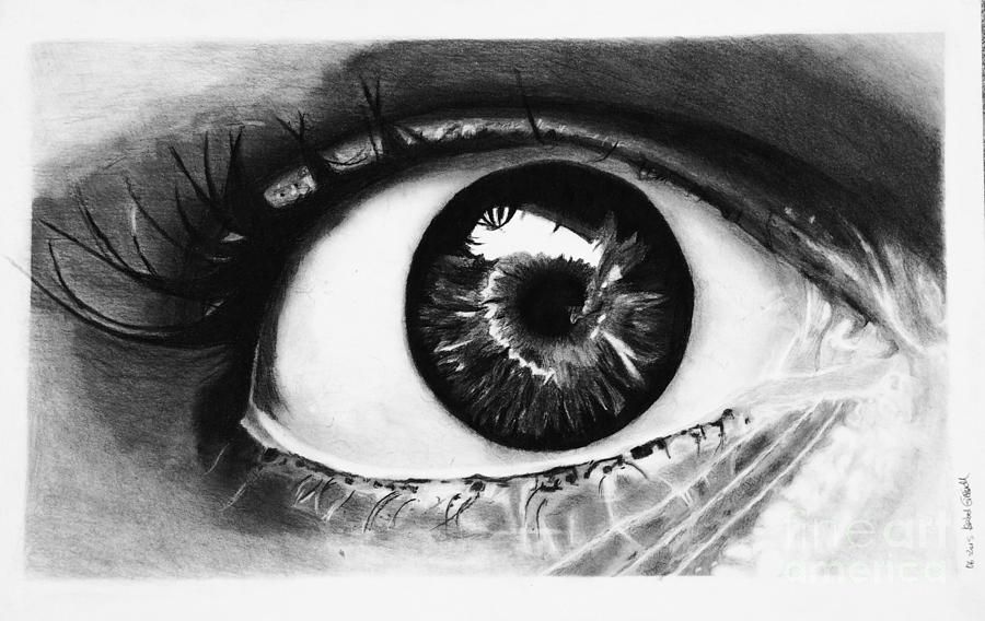 Eyes Are The Window Of The Soul Drawing by Isabellas Artstudio