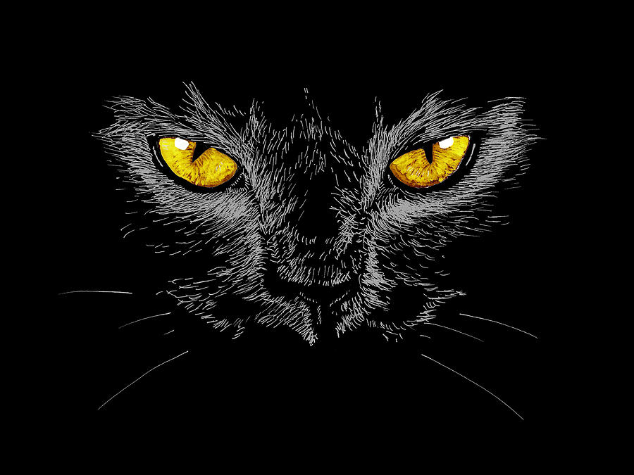 Eyes Of Black Cat Painting by Masha Batkova