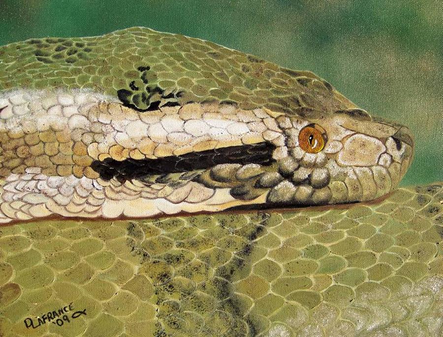 Snake Painting - Eyes of the Constrictor by Debbie LaFrance