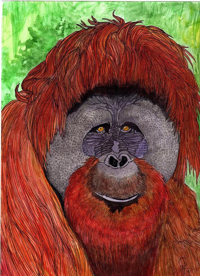 Wildlife Painting - Eyes of the Orangutan by Doug Hiser