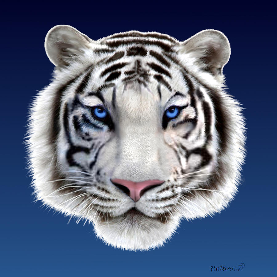 Eyes of the Tiger Digital Art by Glenn Holbrook