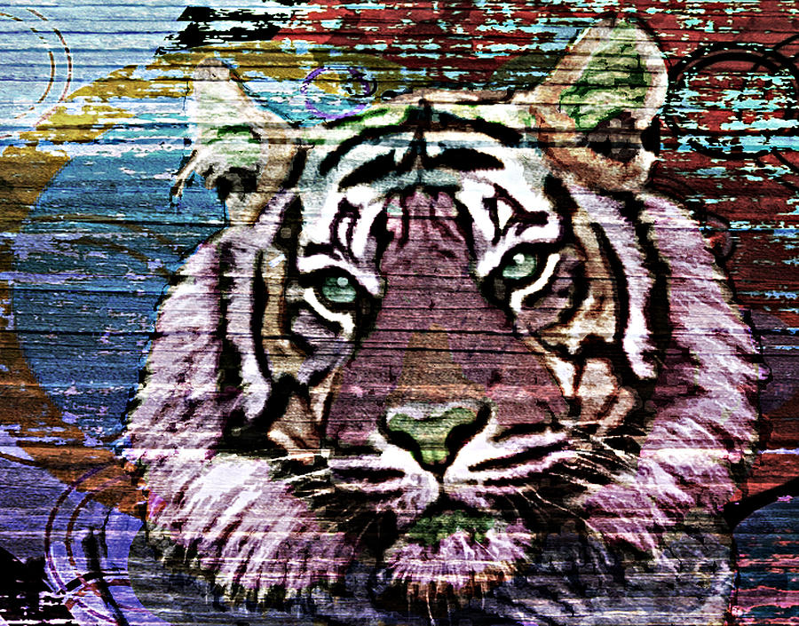 Eyes of the Tiger Digital Art by Maria Arango