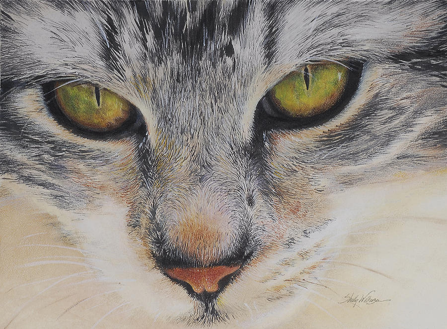 Cat Painting - Eyes of Wisdom 2 by Shelly Wilkerson