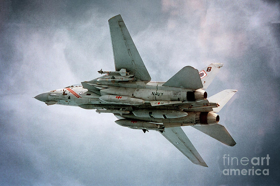 F-14 Tomcat - A portrait Digital Art by Airpower Art