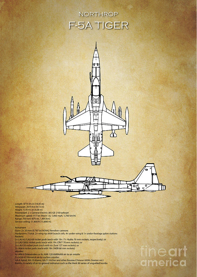 F-5 Tiger Blueprint Digital Art by Airpower Art - Fine Art America