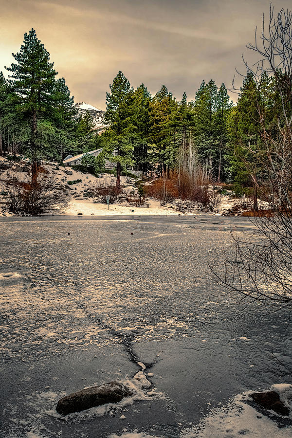 Frozen Pond Photograph by Maria Coulson