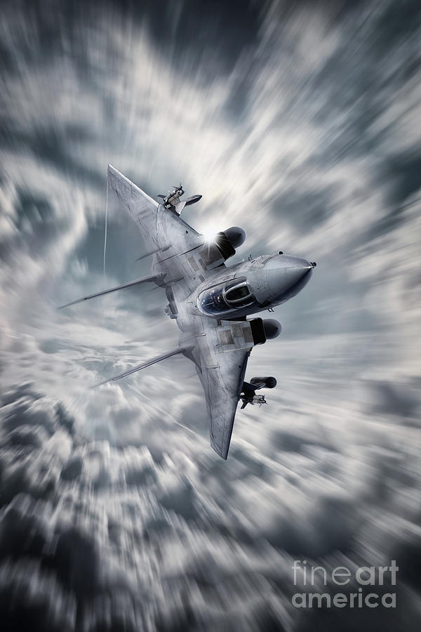 F14 Tomcat Digital Art by Airpower Art