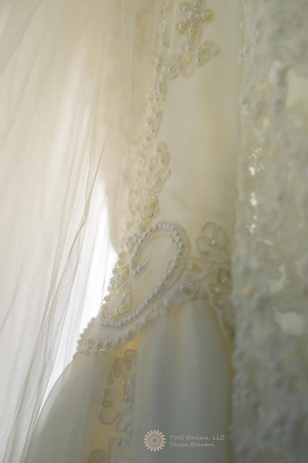 Fabric of a Bride Photograph by Teresa Blanton