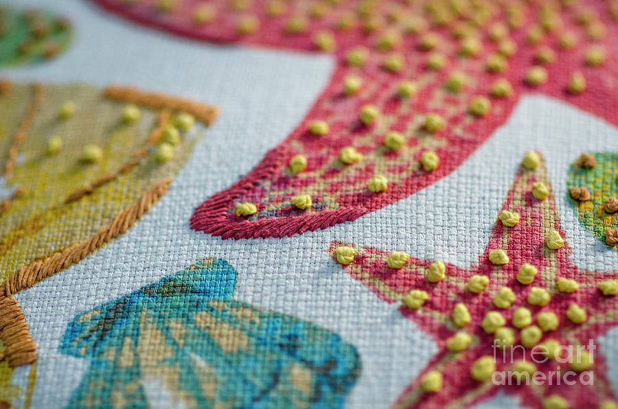 Fabric Pattern Photograph