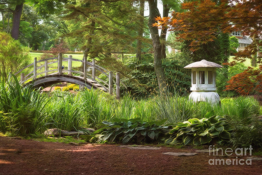 Fabyans Japanese gardens  Photograph by Rudy Viereckl