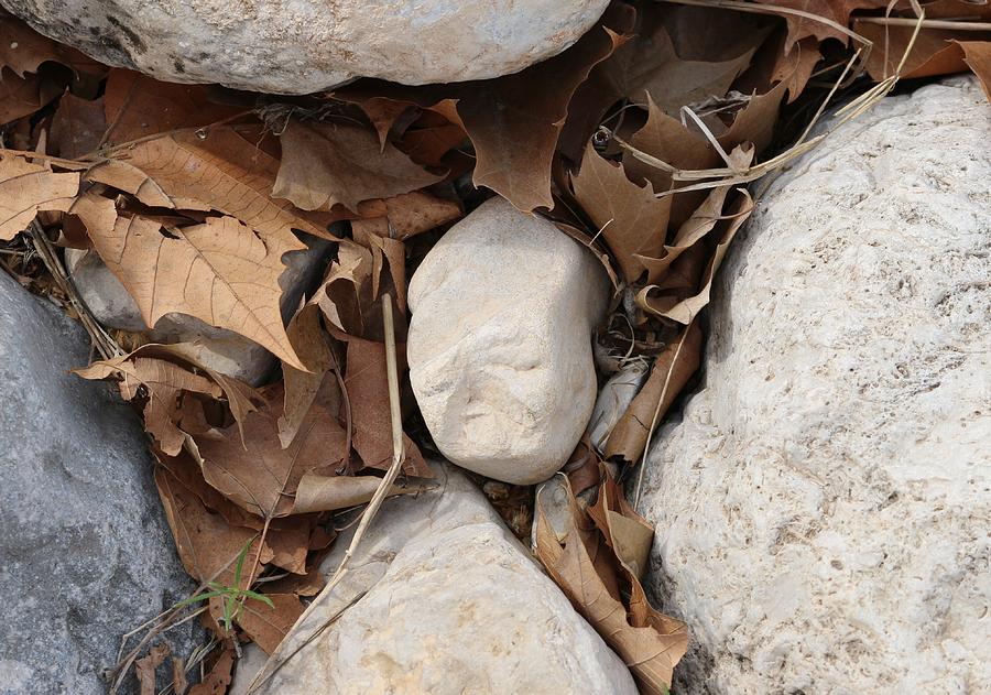 Face in Stone Photograph by Christy Pooschke