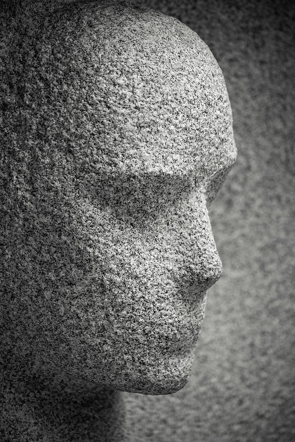 Face in Stone Photograph by Don Johnson