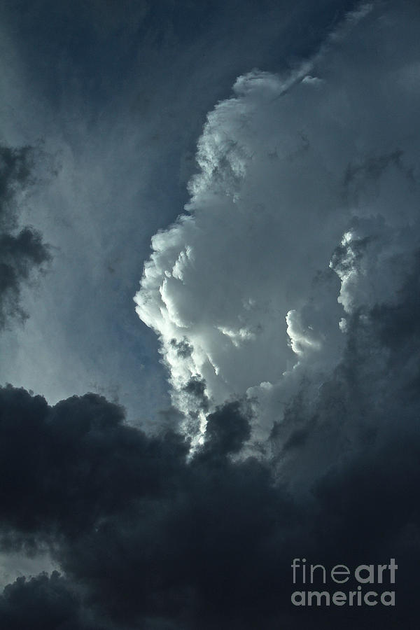 Face in the Clouds Photograph by Ann E Robson