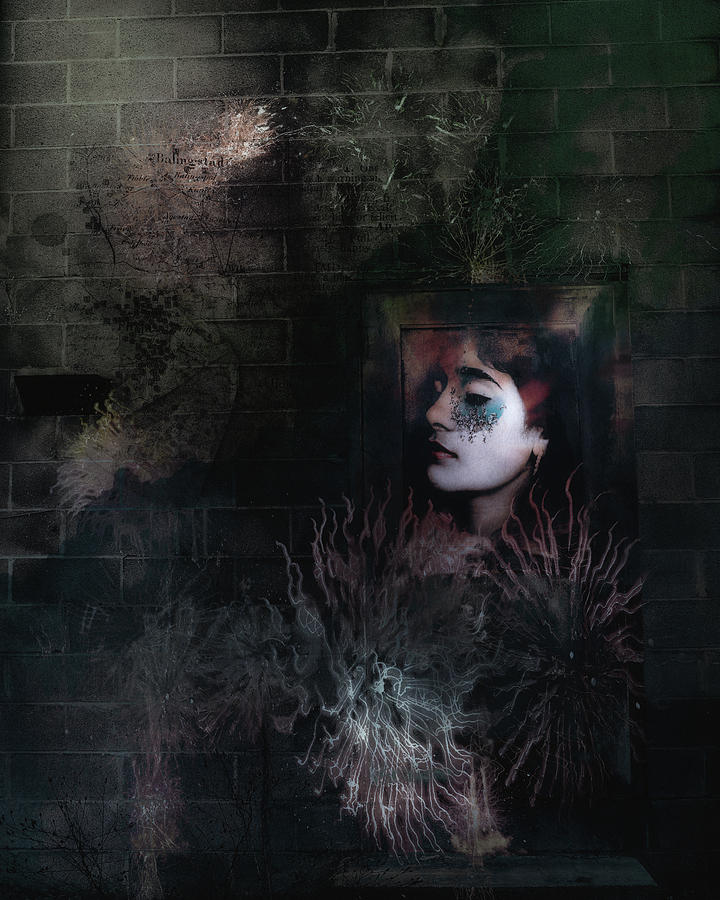 Face in the Door by Richard Ricci Face in the Door by Richard Ricci