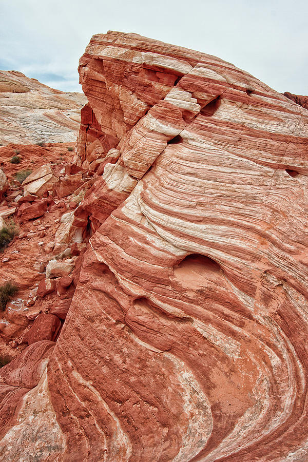 Face in the Red Rocks 9822-153 Photograph by Deidre Elzer-Lento