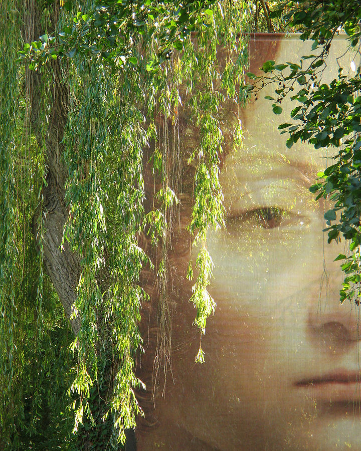 Leonardo Da Vinci Photograph - Face in the Willows by Greg Matchick