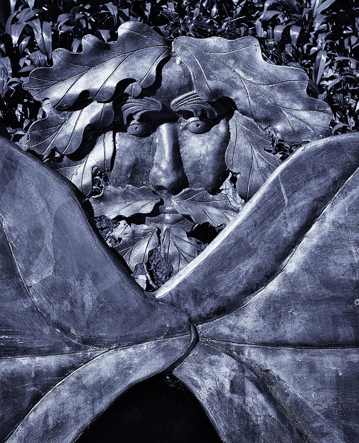 Face In The Woods Blue Tint Photograph by Jeff Townsend