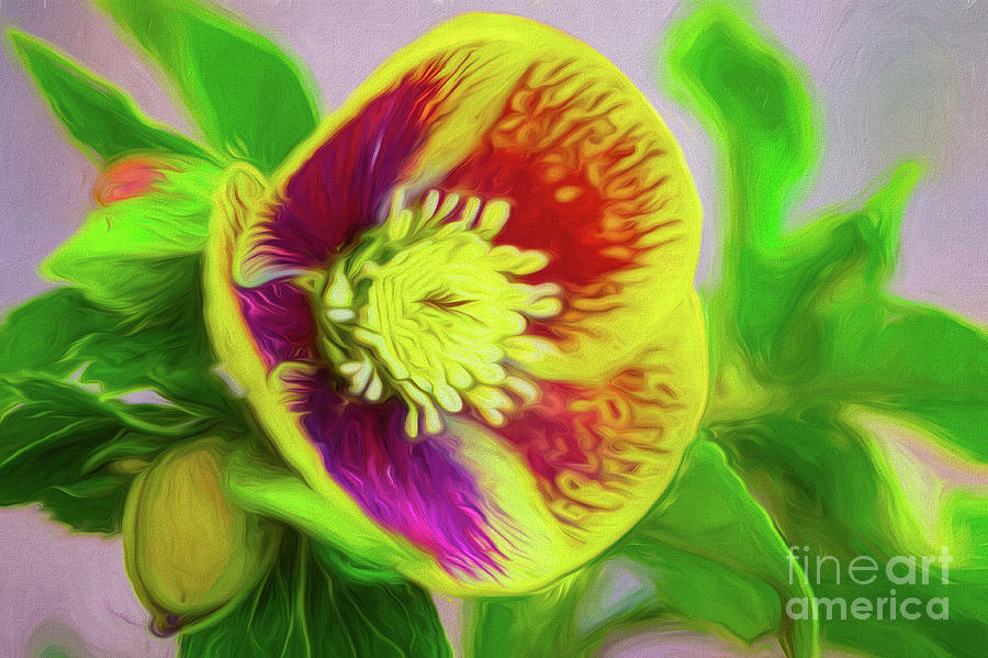 Flower Digital Art - Face of a Flower Vivid Painting by Mary Raderstorf