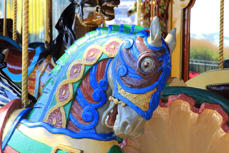 Face Of A Merry Go Round Horse Photograph