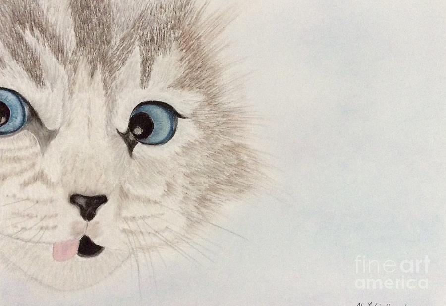 Face of cat  Pastel by Natalia Wallwork