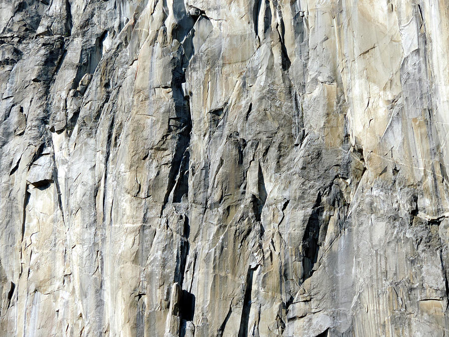 Face Of El Capitan 2 Photograph by Eric Forster
