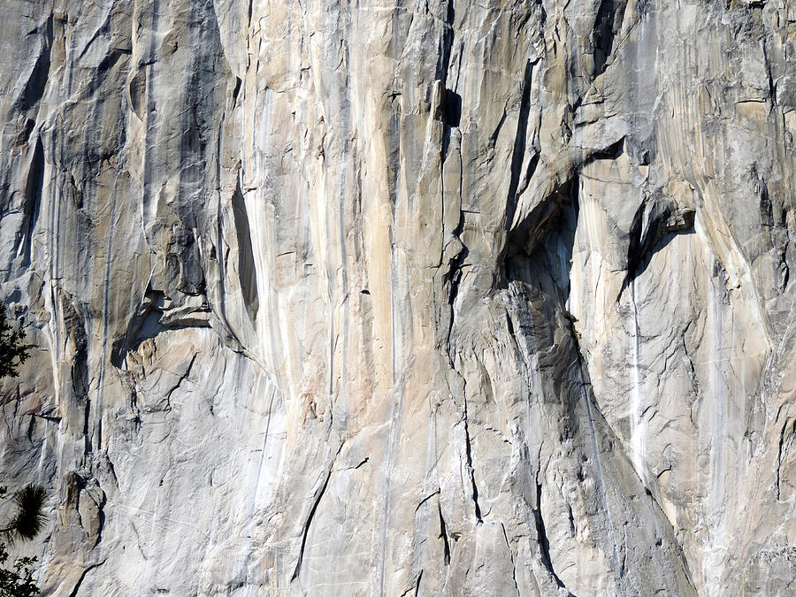 Face Of El Capitan Photograph by Eric Forster