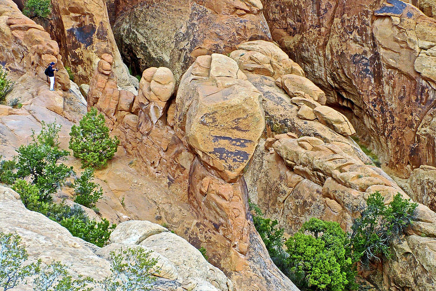 Face on a Rock on Devils Garden Trail in Arches  National Park, Utah  Photograph by Ruth Hager