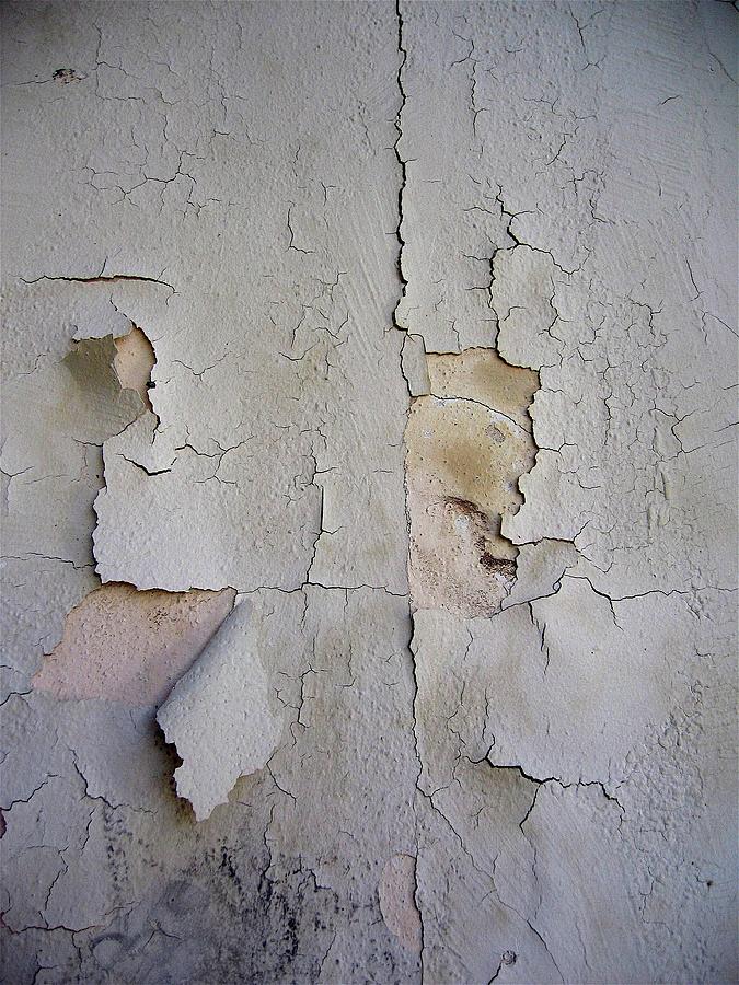 Face on peeling wall Coolidge Arizona 2004 Photograph by David Lee Guss