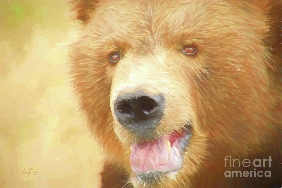 Bear Photograph - Face to Face by Cheryl Rose