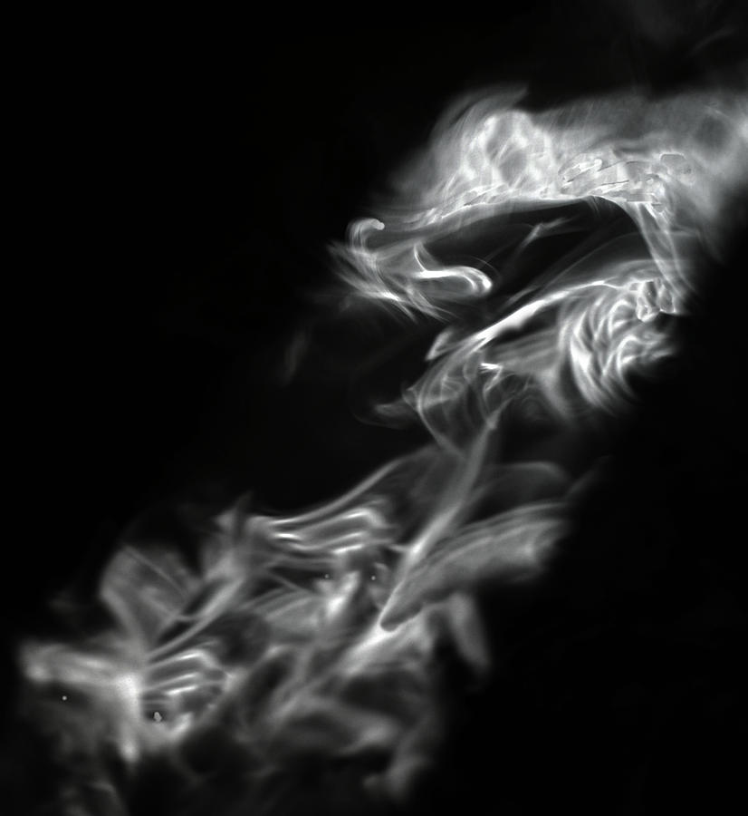 Faces In Smoke 1253 Photograph by Alfredo Martinez | Fine Art America