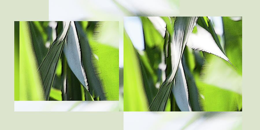 Facets in Green Diptych 2 - Photograph by Julie Weber
