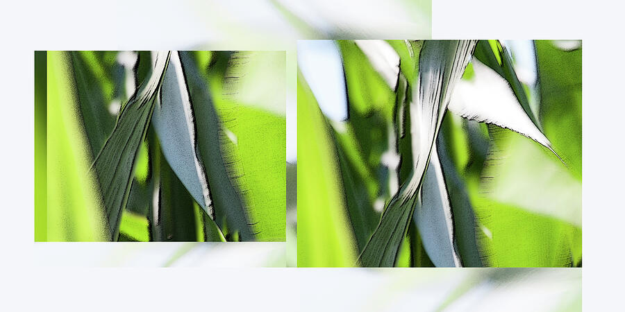 Facets in Green Diptych - Photograph by Julie Weber