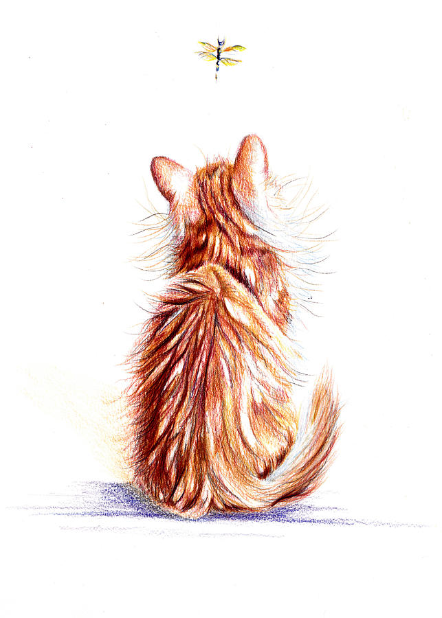 Facing the Dragon - Ginger Kitten Drawing by Debra Hall