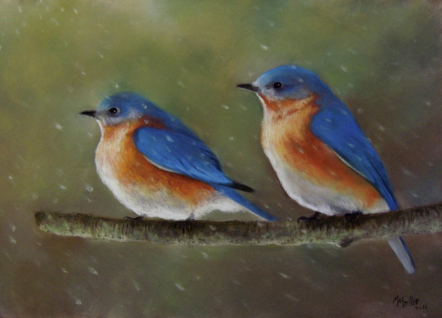 Bluebird Pastel - Facing the Front by Marcus Moller