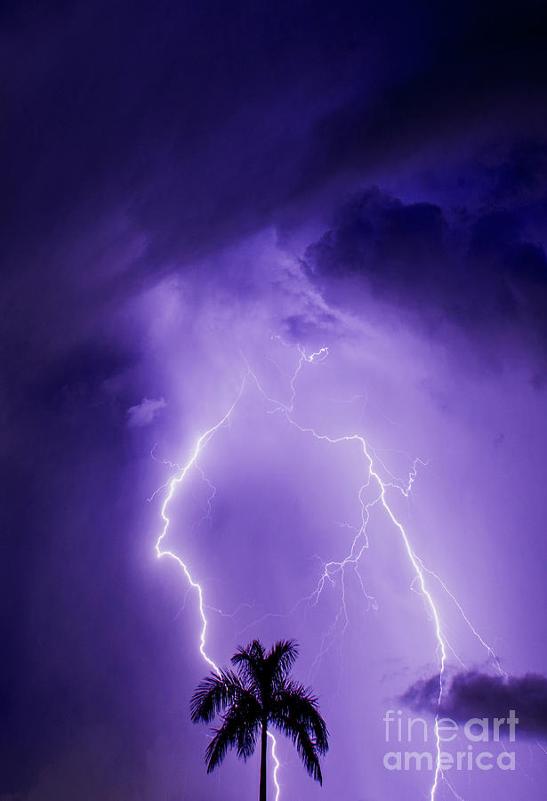 Miami Photograph - Facing the Storm by Jon Neidert