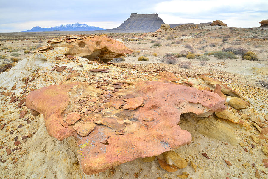 Factory Butte Rock Garden II Photograph by Ray Mathis