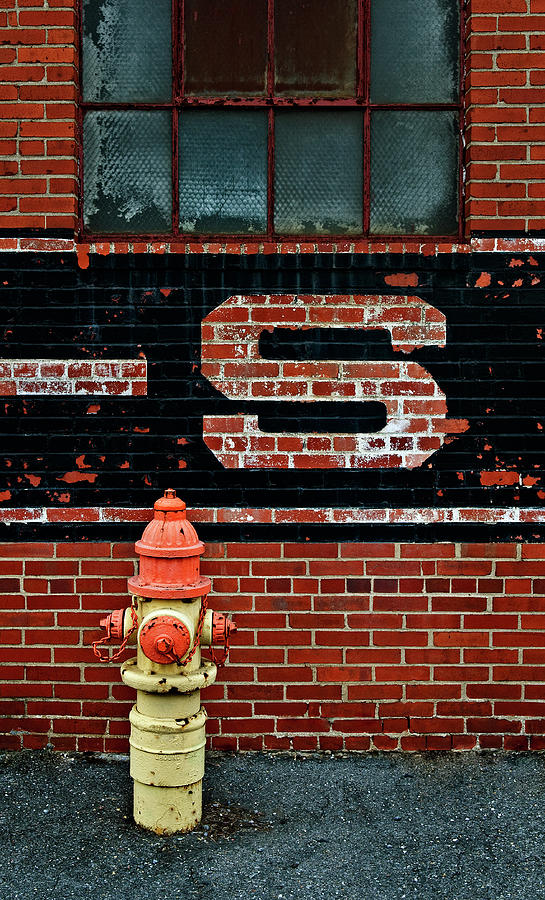 Factory Fireplug Photograph by Murray Bloom