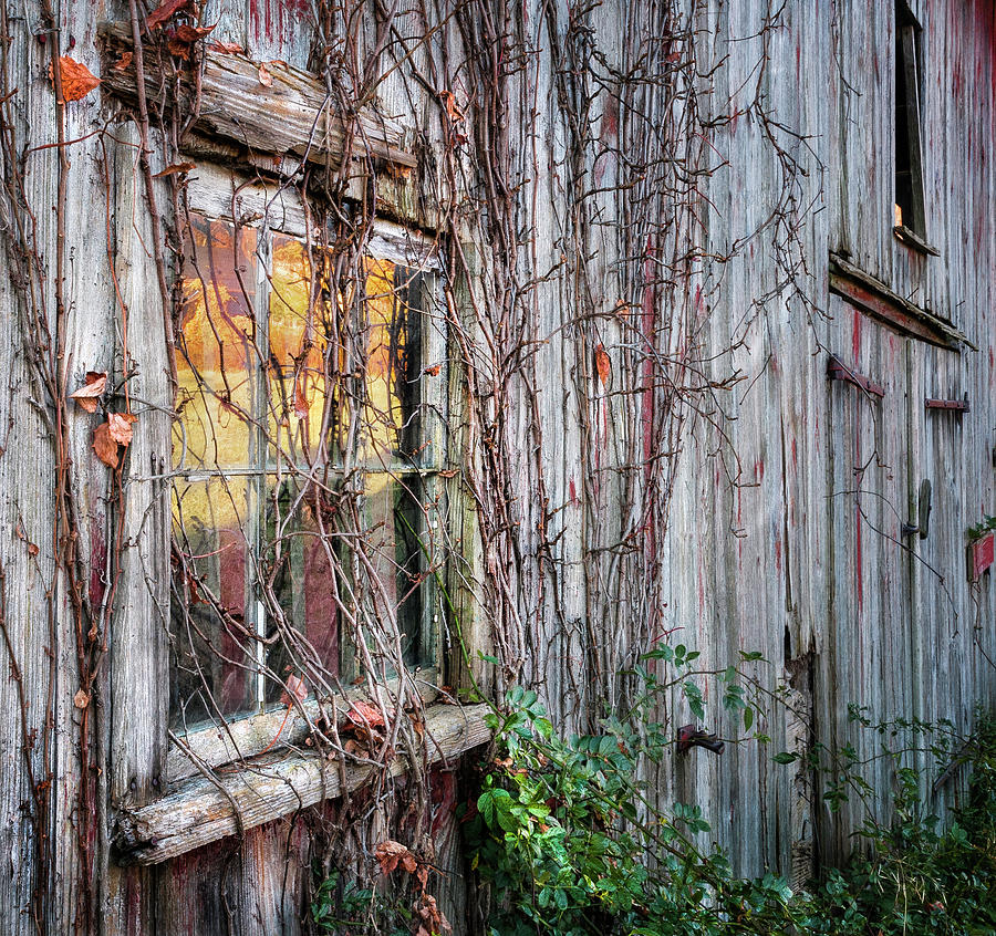 Vintage New England Fall Reflections in Barn Window and Weathered Barnboards Photograph by Photos by Thom