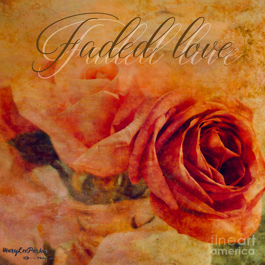 Faded Love Mixed Media by MaryLee Parker