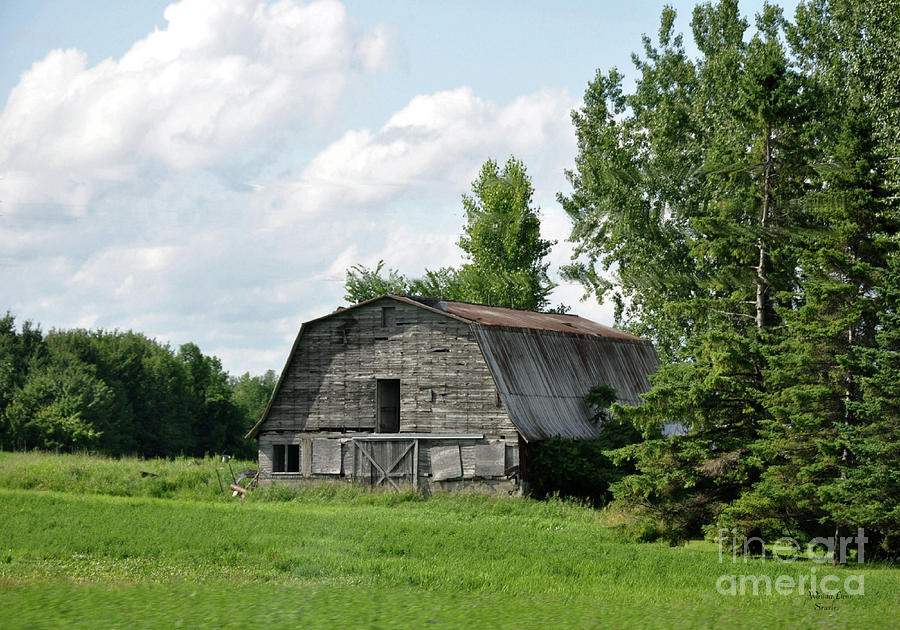 Faded Over The Years Photograph by Wanda-Lynn Searles - Fine Art America