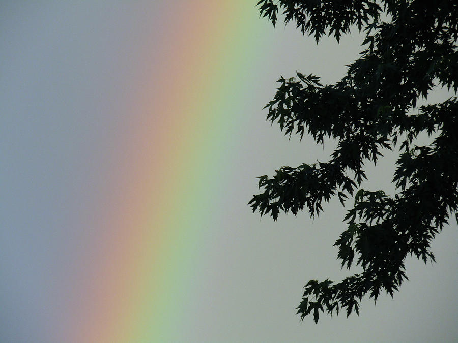 Faded Rainbow Photograph by Robert Knight