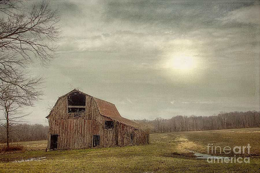 Faded Red Barn Photograph by Diane Enright
