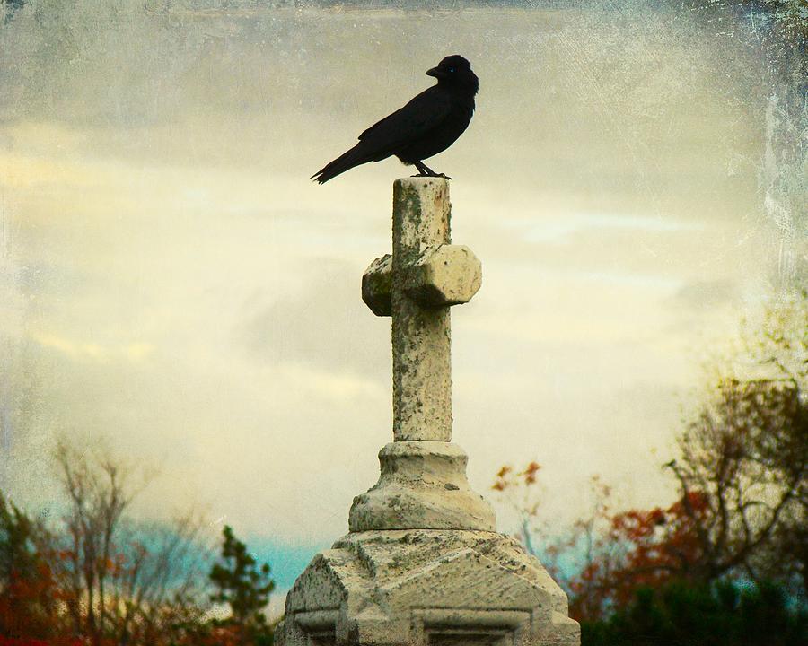 Crow Photograph - Faded Sky With Crow On Cross by Gothicrow Images
