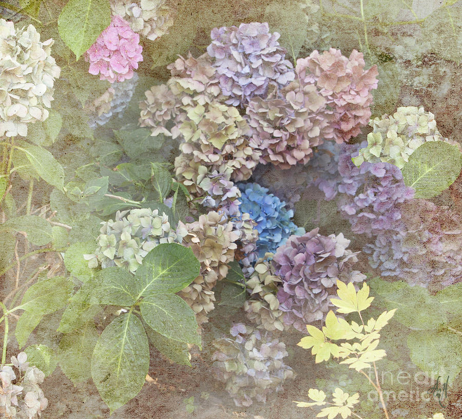 Fading Flowers Digital Art by Victoria Harrington