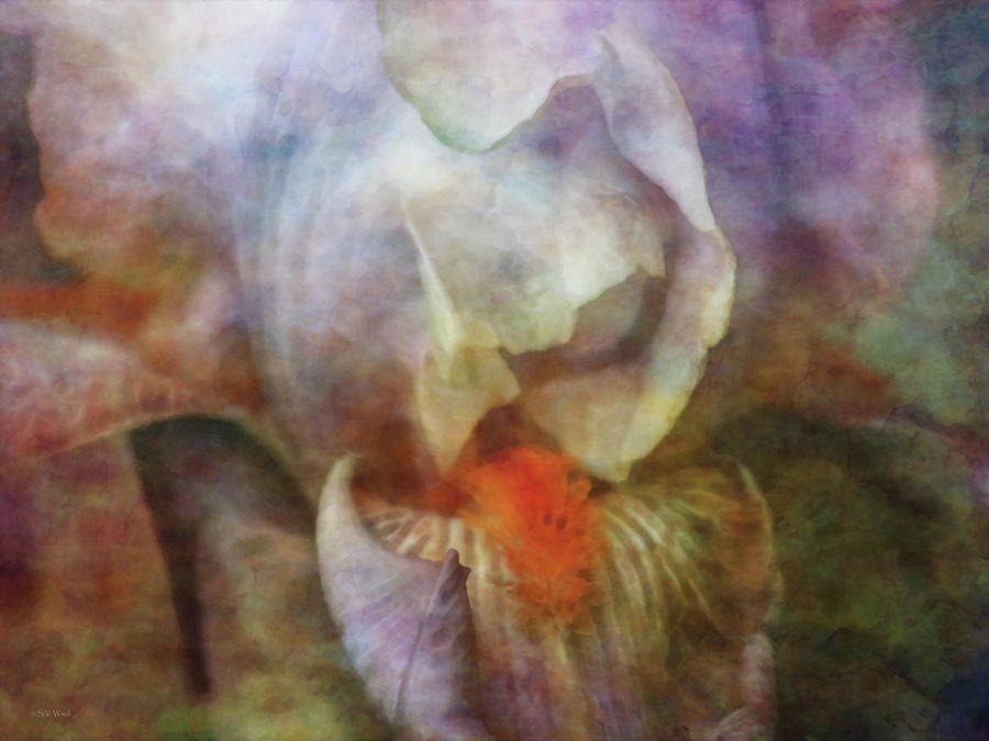 Fading Impression 1288 IDP_23 Photograph by Steven Ward