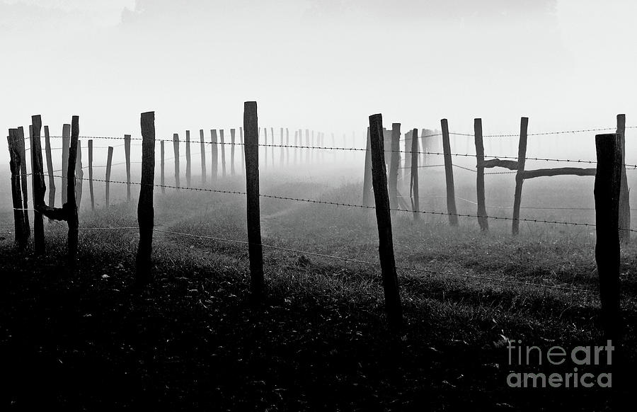 Fading Into The Fog II Photograph by Douglas Stucky