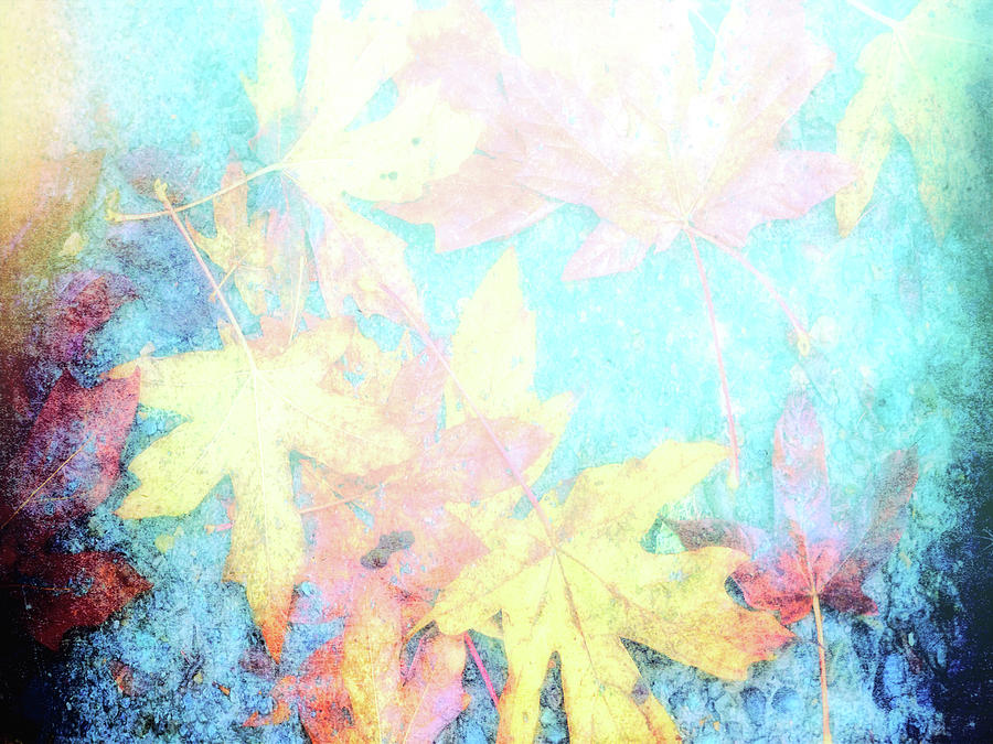 Fading Leaves... Digital Art by Cathy Anderson