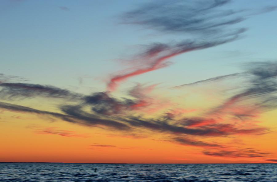 Fading Pink  Photograph by Lyle Crump