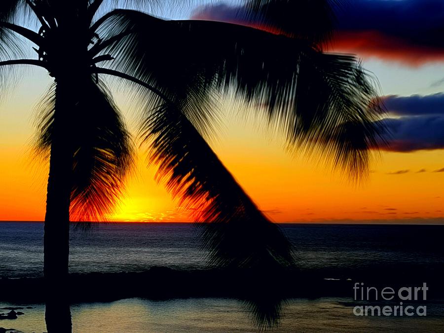 Fading Summer Photograph by Alejandro Pickart - Fine Art America